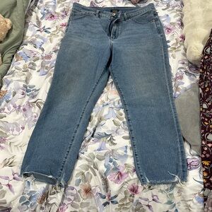 Express Light Blue Ankle Jeans